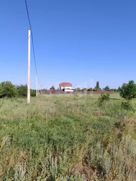 Участок в Воронежская область, Борисоглебский городской округ, с. ...