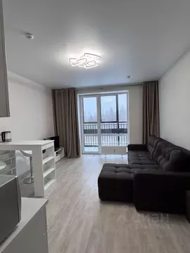 Студия Пермский край, Пермь ул. Борцов Революции, 1Ак5 (27.2 м)