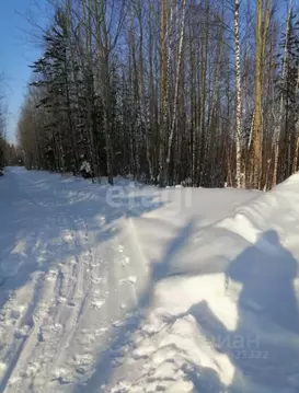 Участок в Ханты-Мансийский АО, Ханты-Мансийск Восточный мкр, 1 (6.65 ...