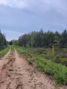 Участок в Владимирская область, Киржачский муниципальный округ, д. ...
