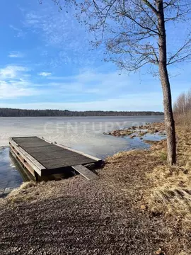 Участок в Ленинградская область, Всеволожский район, Куйвозовское ...