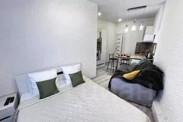 1-к кв. Новосибирская область, Новосибирск Горский мкр, 67 (30.0 м)