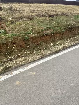 Участок в Московская область, Ступино городской округ, с. Мышенское, ...