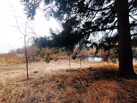 Участок в Пермский муниципальный округ, деревня Якунчики, Подлесная ...