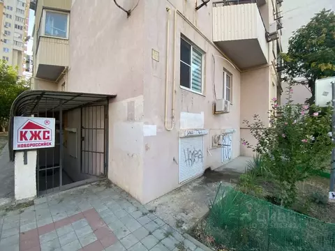 Офис в Краснодарский край, Новороссийск просп. Дзержинского, 234 (160 ...