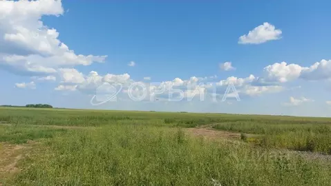 Участок в Тюменская область, Тюменский муниципальный округ, с. Кулига ...