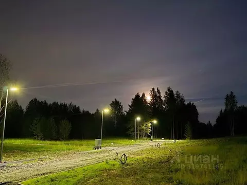 Участок в Ленинградская область, Ломоносовский район, Низинское с/пос, ...