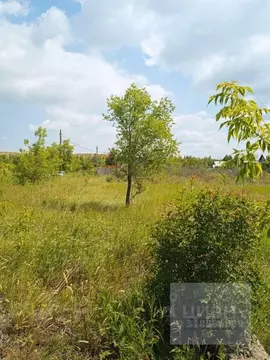 Участок в Челябинская область, Магнитогорск Садовое товарищество ...