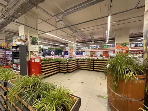 Торговая площадь в Санкт-Петербург просп. Культуры, 20 (70 м)