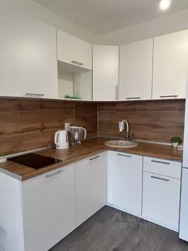 Студия Ленинградская область, Всеволожский район, пос. Бугры ул. ...