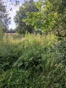 Участок в Московская область, Клин городской округ, пос. Нарынка  ...