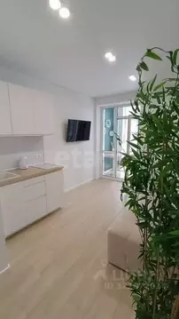 1-к кв. Ростовская область, Ростов-на-Дону просп. Соколова, 86 (30.0 ...