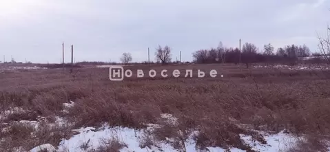 Участок в Рязанская область, Захаровский район, Плахинское с/пос, с. ...