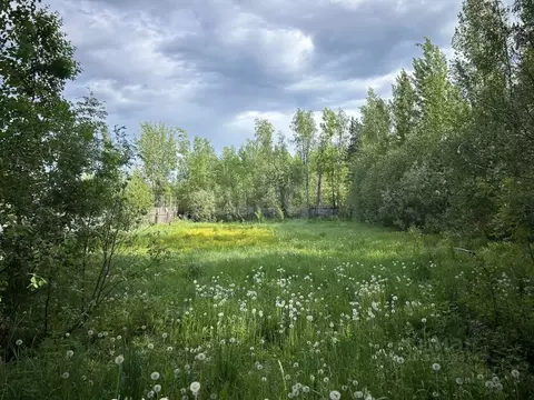 Участок в Ярославская область, Ярославль пос. Нижний,  (7.09 сот.)
