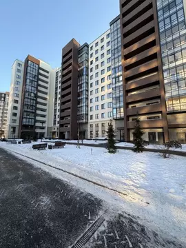 Студия Санкт-Петербург просп. Ветеранов, 173к1 (24.5 м)