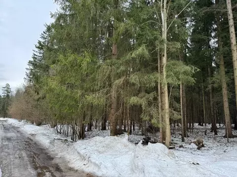 Участок в Москва Вузсервис СНТ, 151 (12.0 сот.)