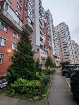 Комната Санкт-Петербург просп. Просвещения, 14к1 (15.0 м)