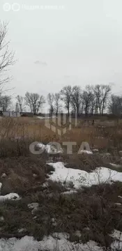Участок в село Новая Усмань, Ростовская улица (11 м)