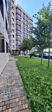 Студия Адыгея, Тахтамукайский район, Старобжегокайское с/пос, Новая ...