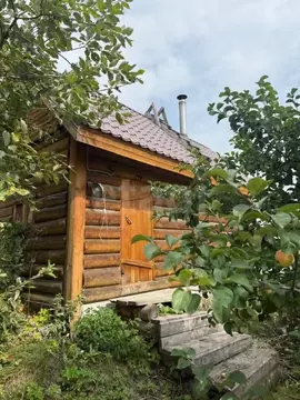 Дом в Свердловская область, Среднеуральск № 5 СУГРЭС СНТ, 77 (20 м)