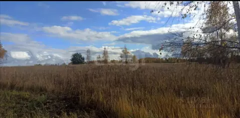 Участок в Калужская область, Малоярославецкий муниципальный округ, ...