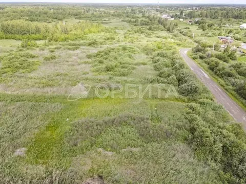 Участок в Тюменская область, Тюмень Медик СНТ, ул. Морковная, 87 (6.2 ...