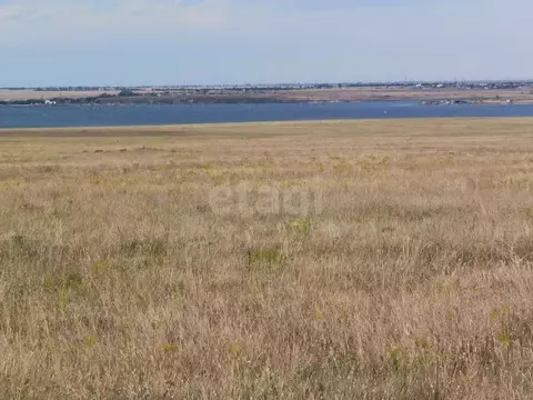 Участок в Крым, Черноморский район, Медведевское с/пос, с. Медведево  ...