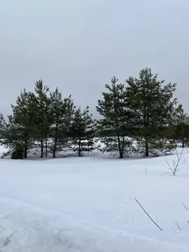 Участок в Московская область, Орехово-Зуевский городской округ, д. ...