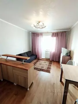 Студия Санкт-Петербург пос. Шушары, просп. Новгородский, 7к2 (23.0 м)