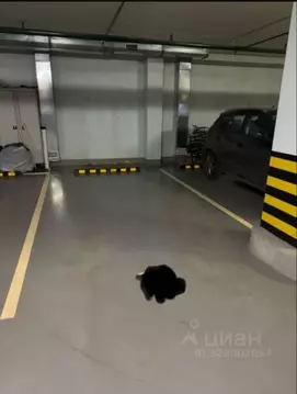 Гараж в Московская область, Реутов просп. Мира, 12к1 (18 м)