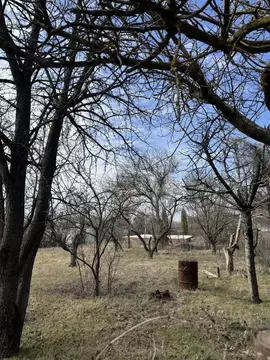 Участок в Ростовская область, Новочеркасск Малинка СТ, 150 (6.28 сот.)