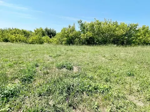 Участок в Саратовская область, Вольск Овражная ул., 14 (6.5 сот.)