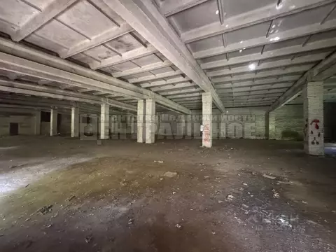 Помещение свободного назначения в Смоленская область, Починковский ...