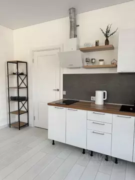 Студия Санкт-Петербург пос. Стрельна, просп. Буденного, 20к2 (26.7 м)