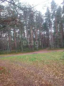 Участок в Псковская область, Печорский муниципальный округ, д. ...