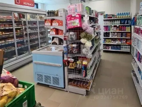 Помещение свободного назначения в Санкт-Петербург Белоостровская ул., ...