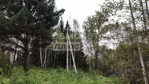 Участок в Томская область, Томск ул. Чайковского, 10 (15.0 сот.)