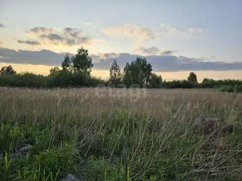 Участок в Тюменская область, Тюмень Садовое товарищество Липовый ...