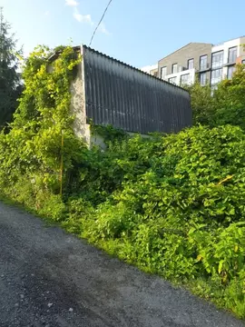 Участок в Калининградская область, Калининград Дружба-Девау СТ, пер. ...