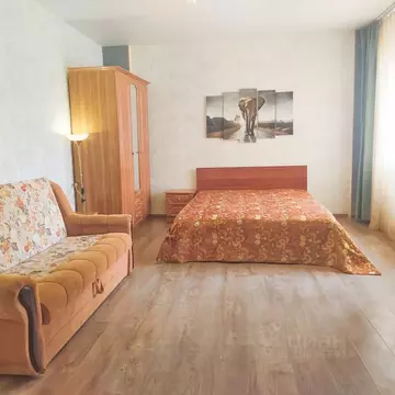 1-к кв. Воронежская область, Воронеж ул. Революции 1905 года, 31г ...