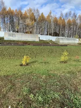Участок в Нижегородская область, Богородский муниципальный округ, д. ...
