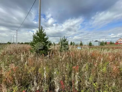 Участок в Тюменская область, Тюменский муниципальный округ, д. Елань, ...