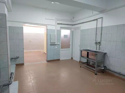 Помещение свободного назначения в Краснодарский край, Сочи Пластунская ...