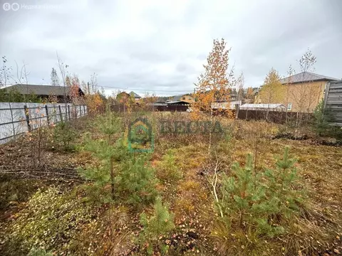 Участок в Агалатово, Сосновая аллея, 15 (10 м)