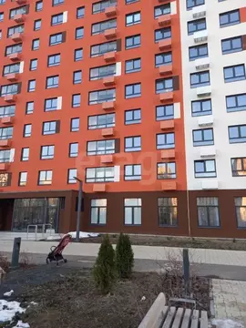 Студия Ярославская область, Ярославль ул. Академика Колмогорова, 26к2 ...