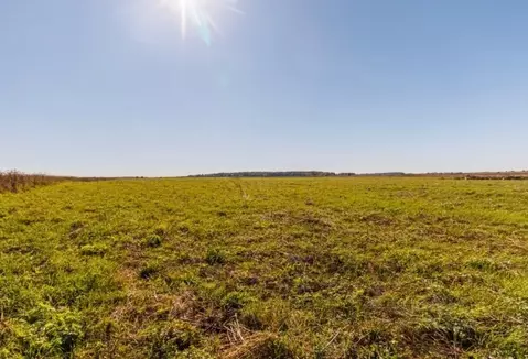 Участок в Ленинградская область, Ломоносовский район, Копорское с/пос, ...