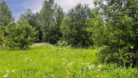 Участок в Московская область, Дмитровский муниципальный округ, д. ...