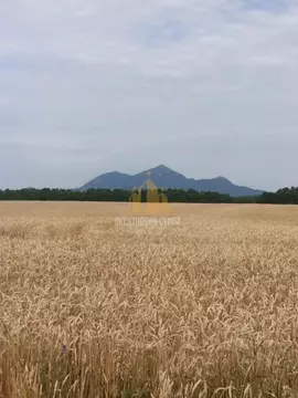 Участок в Ставропольский край, Предгорный муниципальный округ, пос. ...