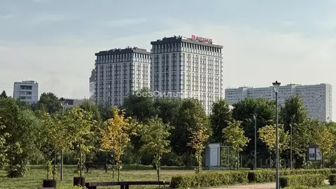 Студия Москва Аминьевское ш., 6 (34.7 м)