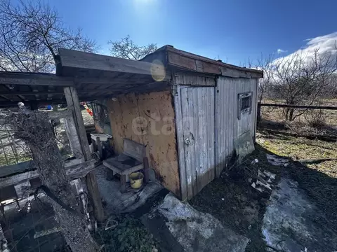 Дом в Брянская область, Брянский район, Мичуринское с/пос, Авангард ...